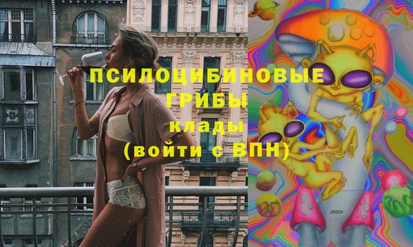 mdma Богородицк