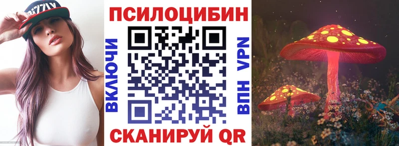 Псилоцибиновые грибы Psilocybine cubensis  Юрьев-Польский 